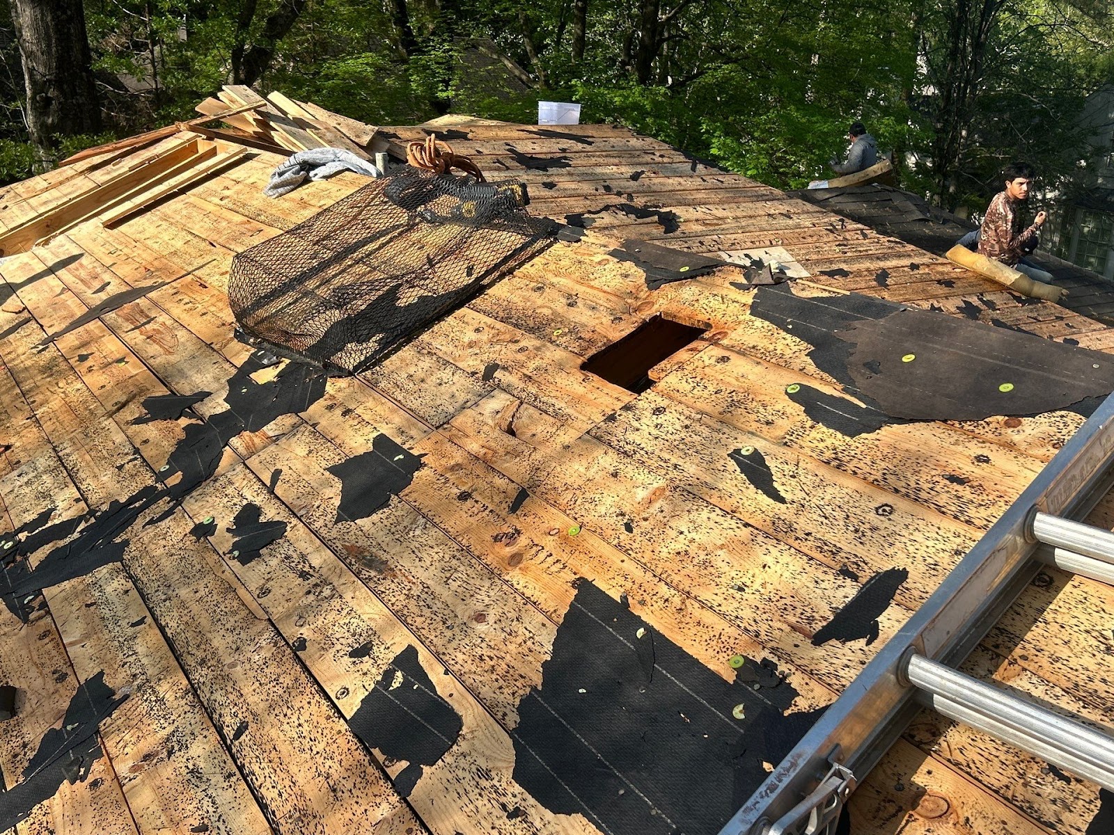 If there's one takeaway every Memphis homeowner should understand about roof maintenance,...