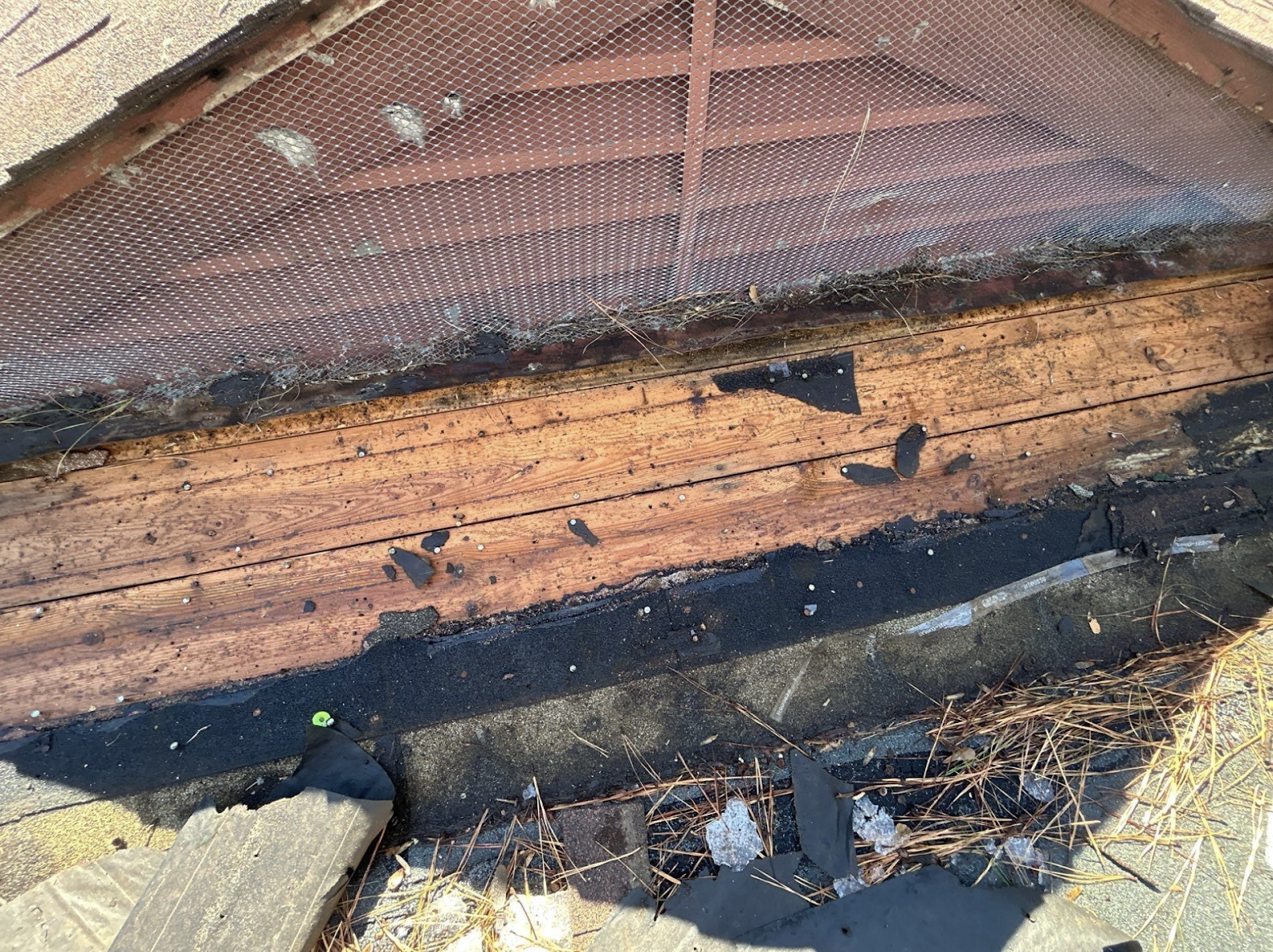 Beyond traditional Memphis roof repair services, Reborn Roofing LLC has expanded to...